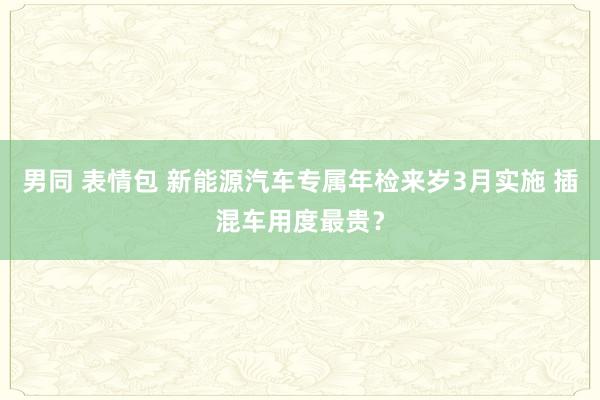 男同 表情包 新能源汽车专属年检来岁3月实施 插混车用度最贵？