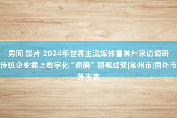 男同 影片 2024年世界主流媒体看常州采访调研｜传统企业插上数字化“翅膀”丽都蝶变|常州市|国外市集