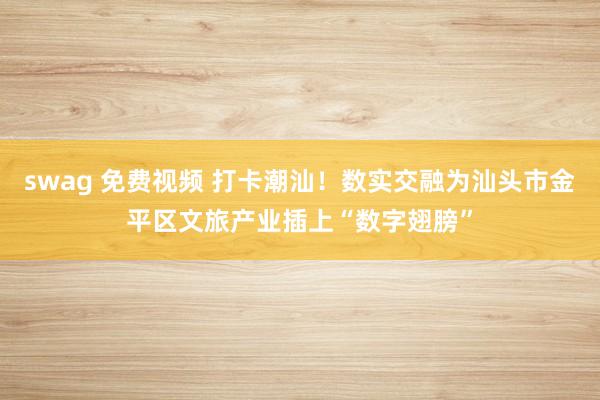 swag 免费视频 打卡潮汕！数实交融为汕头市金平区文旅产业插上“数字翅膀”