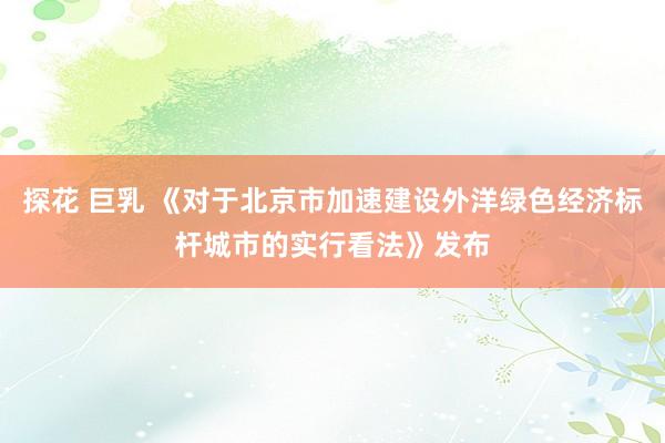 探花 巨乳 《对于北京市加速建设外洋绿色经济标杆城市的实行看法》发布