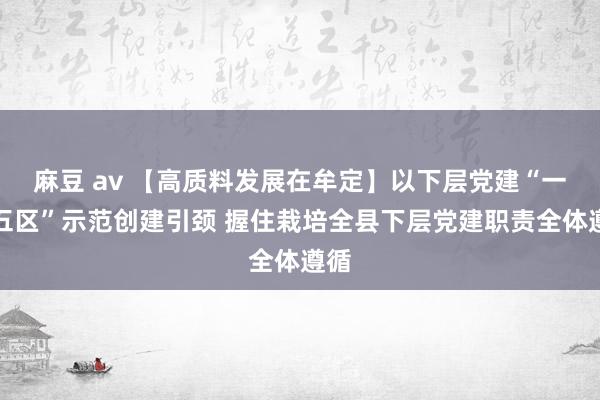 麻豆 av 【高质料发展在牟定】以下层党建“一带五区”示范创建引颈 握住栽培全县下层党建职责全体遵循