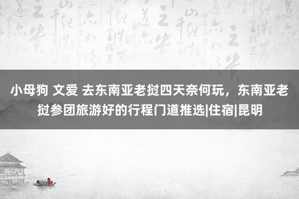 小母狗 文爱 去东南亚老挝四天奈何玩，东南亚老挝参团旅游好的行程门道推选|住宿|昆明