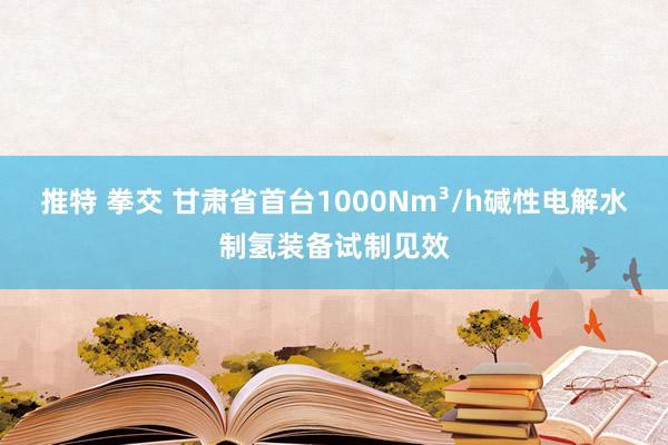 推特 拳交 甘肃省首台1000Nm³/h碱性电解水制氢装备试制见效