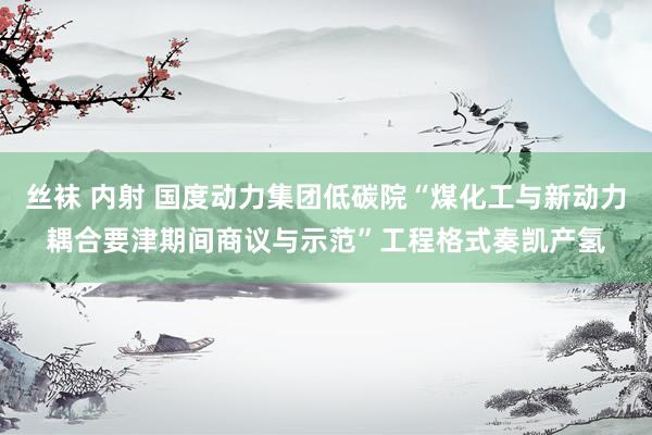 丝袜 内射 国度动力集团低碳院“煤化工与新动力耦合要津期间商议与示范”工程格式奏凯产氢