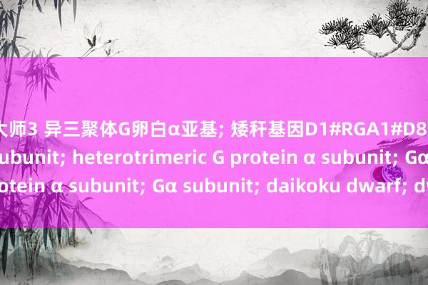 性爱大师3 异三聚体G卵白α亚基; 矮秆基因D1#RGA1#D89;G protein alpha subunit; heterotrimeric G protein α subunit; Gα subunit; daikoku dwarf; dwarf