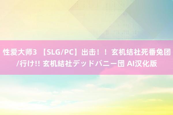 性爱大师3 【SLG/PC】出击！！玄机结社死番兔团/行け!! 玄机結社デッドバニー団 AI汉化版